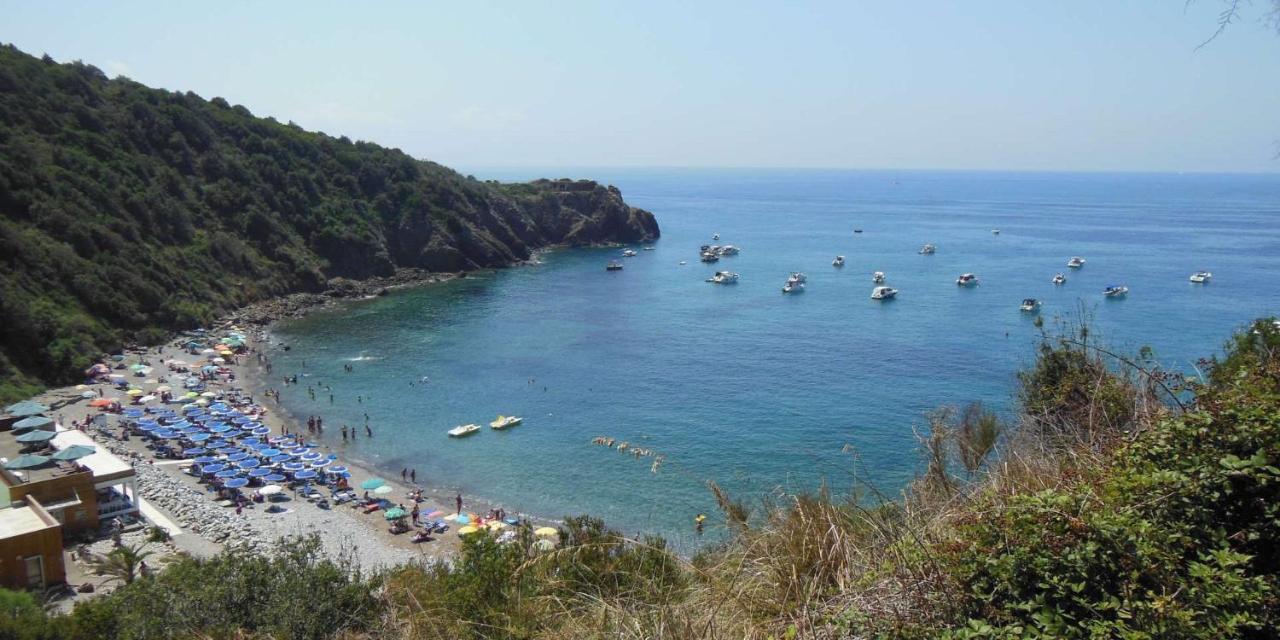 Appartamenti Tra Cielo E Mare Piombino Bagian luar foto